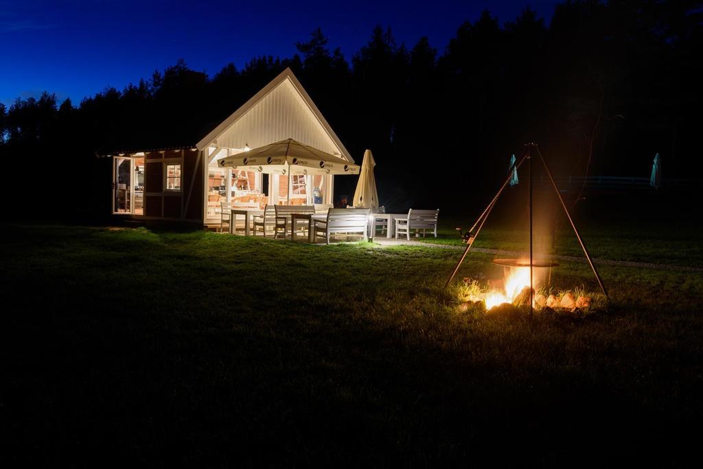 Weekend, który zmienia relację z psem – pierwsza edycja Psiej Akademii